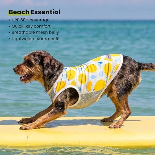 Fitwarm 2 Pack Ice Lemon UPF 50+ UV Sun Protection Dog Shirt, Lightweight Dog Cooling Vest, Quick Dry Summer Clothes for Small Dogs Boy Girl, Pet Outfit, Blue, Yellow, White, Small - color: Ice & Lemon, size: Small