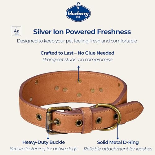 Blueberry Pet Premium Embossed Silver-Powered Freshness Microfiber Suede Leather Dog Collar in Saddle Brown - color: Saddle Brown, size: Medium