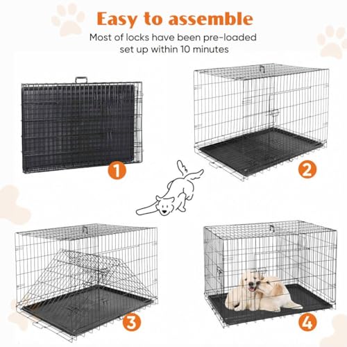 Dog Crate Kennel, 36 Inch Metal Pet Cage Double Door W/Divider Panel, Folding Travel Indoor Outdoor Dog Kennel Leak-Proof Plastic Tray Wire Animal Cage - size: 36.61"L x 22.64"W x 24.21"H