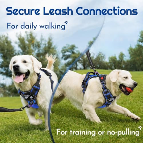 Dog Harness Medium Sized, Easy Wearing with 3 Buckles, Adjustable No Pull Pet Harness with 2 Rings for Walking, No Chock Reflective Soft Padded Vest with Control Handle, Blue & Black, M - color: Blue & Black, size: Medium