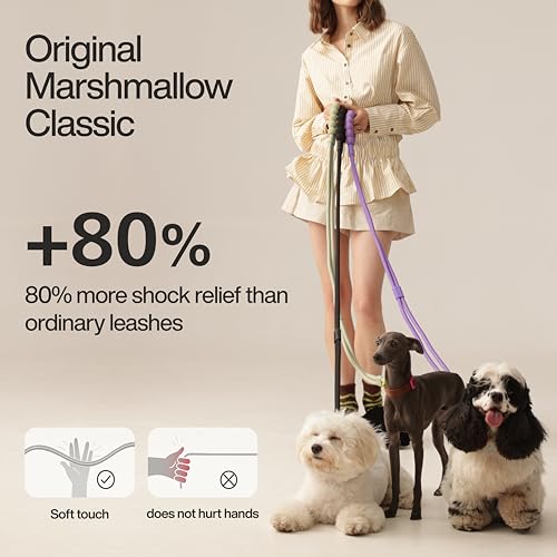Hands Free Dog Leash, 5-in-1 Adjustable Waist Training Leash for Walking& Hiking – Dual Lead Rope with Padded Handle,MGBR Rotating Metal Clip (Classic-Grape Crush) - color: Classic-Grape Crush-5Ft