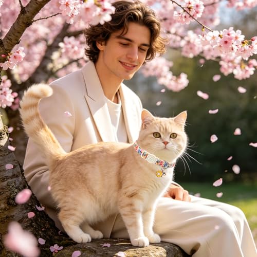 Unique style paws 2 Pack Valentine Kitten Collar Breakaway with Bell&Pendant, Adjustable Safety Spring Summer Colorful Flower Cotton Collar for Girl Boy Cat and Small Pet - color: colorful flower