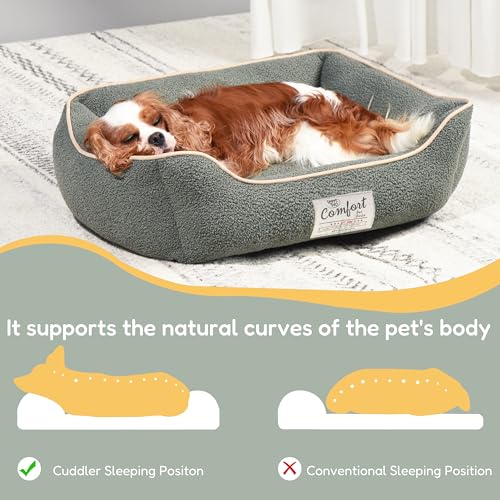 FluffyDream Small Dog Bed, Super Soft Pet Bed Furniture, Suitable for Dogs Up to 30lbs, 24'' x 20'', Sage - color: Sage