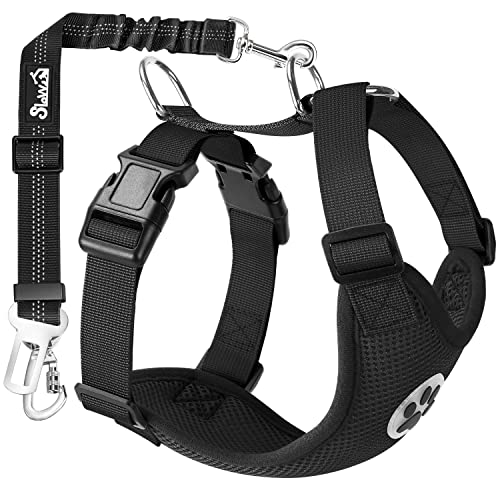 SlowTon Dog Seat Belt Harness for Car, Dog Car Harness Adjustable Mesh Breathable & Dog Seatbelt Safety Tether with Elastic Bungee for Small Medium Large Pets(Black, Double Clip, M) - color: A-Black, size: Medium