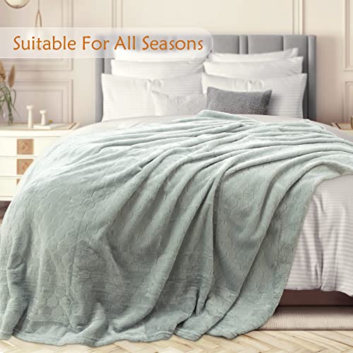 TOONOW Fleece Blanket Super Soft Cozy Throw Blanket 50" x 60", Lightweight Fuzzy Comfy Textured Flannel Blanket Warm Plush Throw Blankets for Couch, Sofa, Bed, Mirage Gray - color: Mirage Gray, size: Throw-50" x 60"