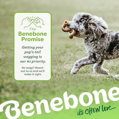 Benebone Tripe Bone Durable Dog Chew Toy for Aggressive Chewers, Real Tripe, Made in USA, Giant - size: Giant 1-Pack, style: Chew Toy
