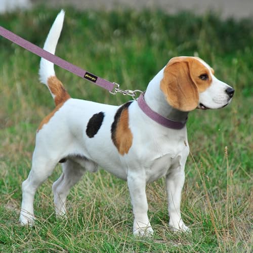 Plutus Pet Cotton Hemp Dog Collar and Leash Set, Adjustable Collar for Small, Medium, and Large Dogs, Heavy Duty and Soft on Skin, Lavender, XS - color: Lavender, size: X-Small