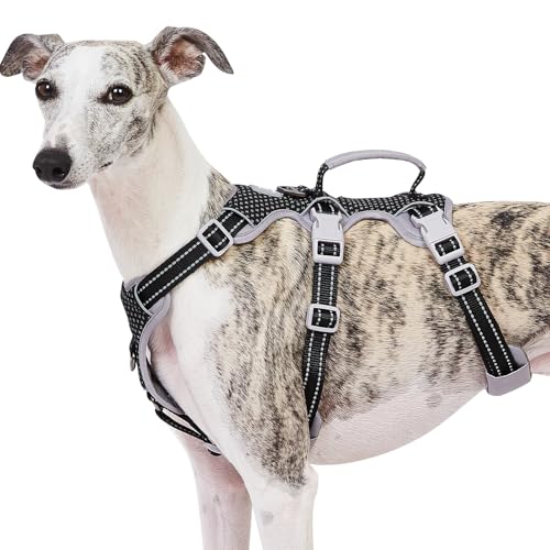 Huntboo Escape Proof Dog Harness, No Pull Reflective Harness with Lift Handle, Adjustable Pet Vest with Front and Back Leash Clips for Small Medium Large Dogs Walking Hiking Training (Black,L) - color: Black, size: Large(Pack of 1)