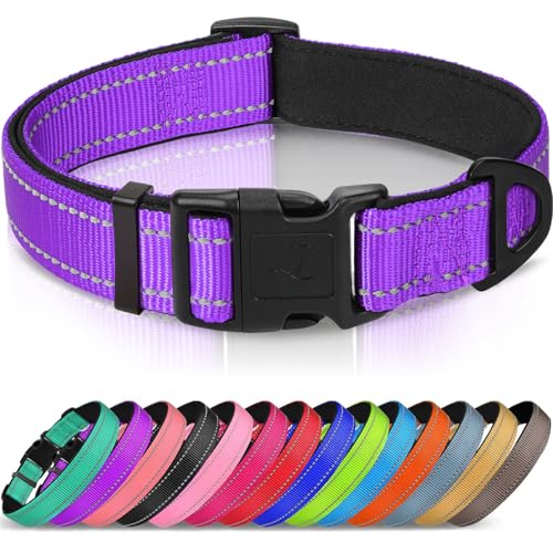 Joytale Reflective Dog Collar, Soft Neoprene Padded, Metal D-Ring, Nylon Pet Collar Adjustable for Puppy and Small Dogs, Purple, XS - color: Purple, size: X-Small (Pack of 1)
