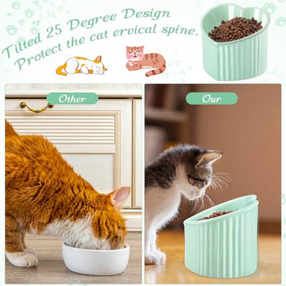 Mumufy 2 Pcs Ceramic Elevated Cat Bowls Tilted Elevated Raised Pet Bowls Anti Vomit Cat Dish for Indoor Stress Free Water Dish Feeder for Puppies, Heart Shaped(Grass Green) - color: Grass Green