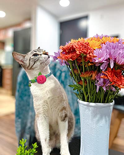 Spring Cat Collar, Floral Kitten Collar Breakaway, Flower Dog Collar for Small Dogs Female