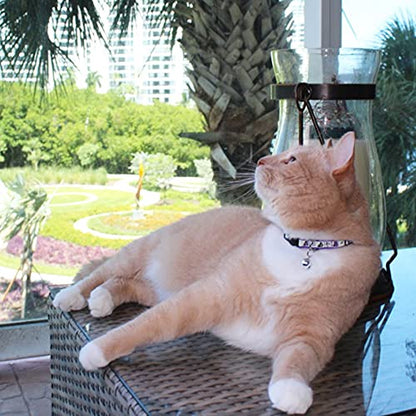 Pawtitas Glow in the Dark Cat Collar – Safety Buckle & Removable Bell, Adjustable Kitten Collar, Orange - color: GID Orange