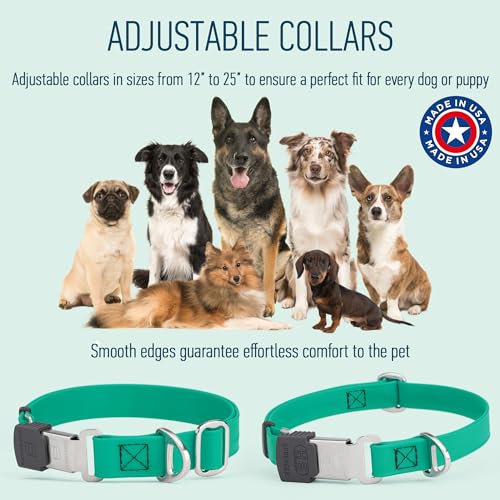 Biothane Waterproof Durable Dog Collar with Herm Sprenger - Quick Release ClicLock Buckle - Fits Medium and Large Dogs - Made in USA (Teal, W 3/4" x L 12"-19") - color: Teal, size: W 3/4" x L 12"-19"
