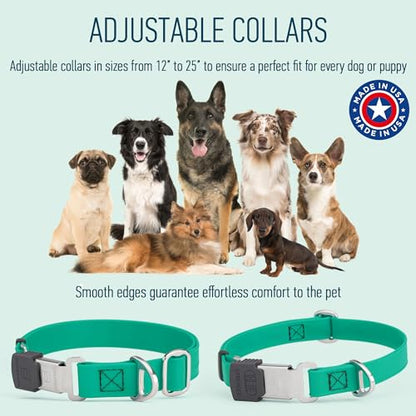 Biothane Waterproof Durable Dog Collar with Herm Sprenger - Quick Release ClicLock Buckle - Fits Medium and Large Dogs - Made in USA (Teal, W 3/4" x L 12"-19") - color: Teal, size: W 3/4" x L 12"-19"