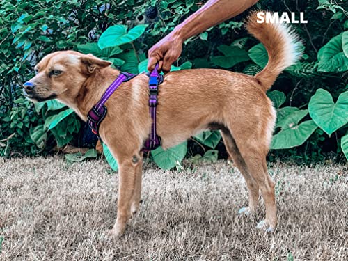 Tuff Pupper No Pull Easy Walk Dog Harness | Heavy Duty Pet Vest | Front & Back Leash Clips | Strong Safety Handle | Reflective Anti Pull Vest | Comfortable Padded Escape Proof Harness (Small, Purple) - color: Purple, size: Small (Neck: 10-17" , Chest: 14-