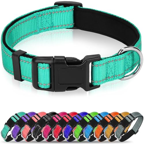 Soft Reflective Dog Collar for Extra Small Dogs, Lightweight Adjustable Puppy Collar with Neoprene Padding, Gentle Nylon for Chihuahua Yorkie,Teal,XS - color: Turquoise, size: XS: 5/8"x (8"-11.5")