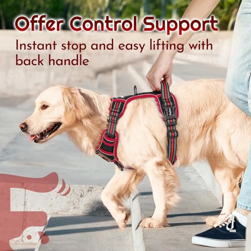 Dog Harness Small Sized, Easy Wearing with 3 Buckles, Adjustable No Pull Pet Harness with 2 Rings for Walking, No Chock Reflective Soft Padded Vest with Control Handle, Black & Red, S - color: Black & Red, size: Small