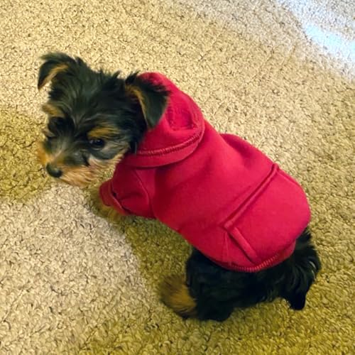 Jecikelon Winter Dog Hoodie Sweatshirts with Pockets Warm Dog Clothes for Small Dogs Chihuahua Coat Clothing Puppy Cat Custume (Wine red, XX-Small) - color: Wine red, size: XX-Small