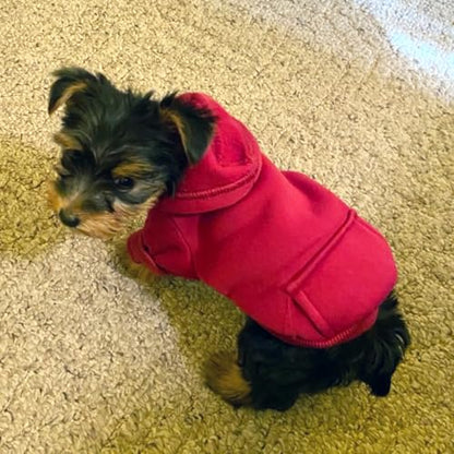 Jecikelon Winter Dog Hoodie Sweatshirts with Pockets Warm Dog Clothes for Small Dogs Chihuahua Coat Clothing Puppy Cat Custume (Wine red, XX-Small) - color: Wine red, size: XX-Small