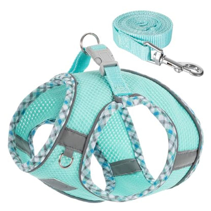 Dog Harness & Leash Set - No Pull Soft Breathable Small Dog Harness, Adjustable Reflective Step-in Vest for Puppy, Kitten, Cats - color: blue-green, size: xxs