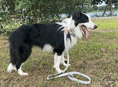 Dog Collar and Leash Set.Soft and Easy to Clean Vegan Leather with Rose Gold Metal Buckle for Small Medium Large Dogs (Grey, S(12.2"-16.9")) - color: Grey, size: S