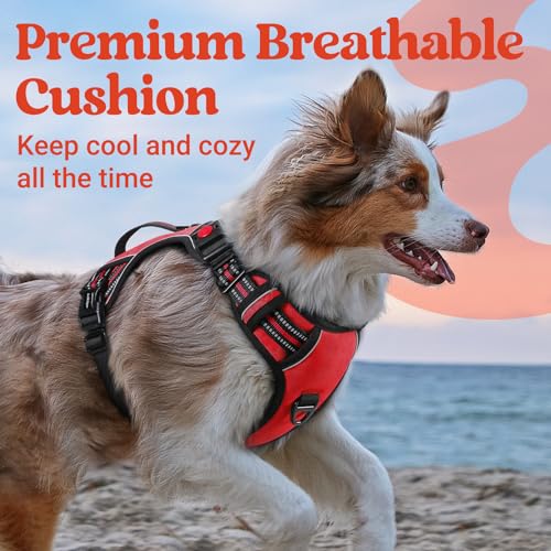 rabbitgoo Dog Harness Small Sized Dog, No Pull Pet Harness with Soft Padded Handle, Adjustable Reflective Vest with 3 Buckles, Easy Walking Harness with 2 Leash Clips, Red, S - color: Red, size: Small