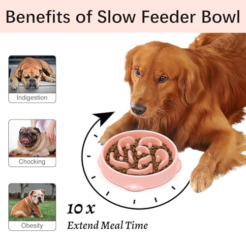 MateeyLife Large Slow Feeder Dog Bowls 2PCS, Anti-Choking Puzzle Dog Food Bowls, Anti-Slip Interactive Feeding Slow Down Eating, Bloat Stop Maze Dishes for Large Breeds 4 Cups Pink&Purple - color: D-Pink&Purple, size: Large