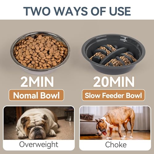 PAWISE Elevated Dog Bowls, Raised Dog Bowl with Slow Feeder Bowl & Stainless Steel Bowls, 5 Heights Adjustable Dog Feeding Bowl Stand for Small Medium Large Dogs, Food Dishes with Non-Slip Feet