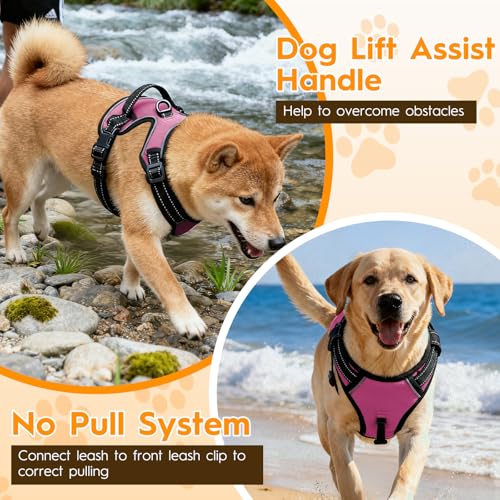 No Pull Dog Harness, No Chock Reflective Adjustable Soft Padded Pet Vest with Easy Control Handle, Easy Wearing with Stylish, Reinforced Knot, 2 Buckles - color: Midnight Pink, size: X-Small