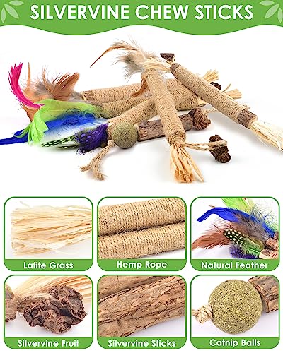 TINDTOP Silvervine Chew Sticks for Cats, 12 Pack Natural Catnip Chew Toys for Kittens Teeth Cleaning, Matatabi Dental Care, Increase Appetite, Calm Cat Anxiety and Stress, Cat Dental Toy - color: 12 Pack