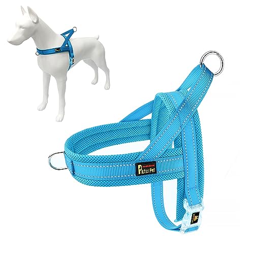 Plutus Pet No Pull Dog Harness with Breathable Mesh Padded, Adjustable Reflective Escape Proof Dog Harness, Quick Fit Dog Vest Harness for Small Medium Large Dogs(XS, Cyan) - color: Cyan, size: XS: chest 13.8"-17.3"
