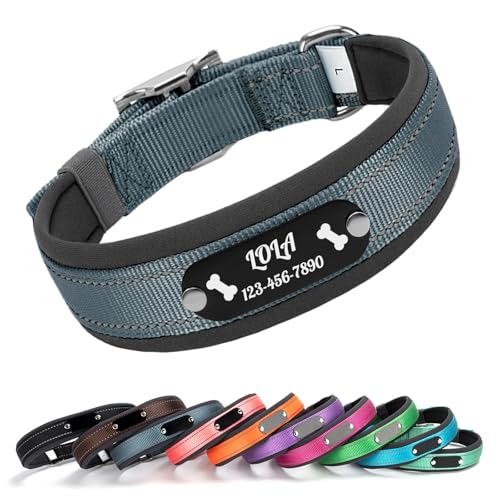 Cusotm Dog Collar with Laser Engraved Name and Phone on Black Metal Tag - Nylon Collar with Reflective Stripe, Neoprene Lining, Metal Buckle D-Ring (Gray, L (19-22 Inches)) - color: Gray, size: L (19-22 Inches)
