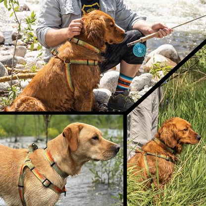 Wolfgang Heavy Duty Martingale Dog Collar with Quick Release Nylon Buckle for Walking & Training, CutBow Print, Small - color: CutBow Print, size: Small (5/8 Inch x 10-12 Inch)