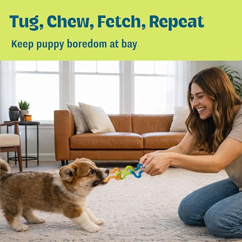 Bone Tugz Tug & Chew Dog Toy — Bendy, Textured Rubber for Tug-of-War, Light-Moderate Chewers, Teething Puppies & Small Dogs, 6.25" x 1.75" - color: Bonetugz Blue