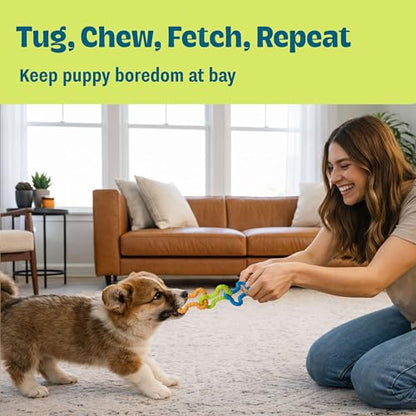 Bone Tugz Tug & Chew Dog Toy — Bendy, Textured Rubber for Tug-of-War, Light-Moderate Chewers, Teething Puppies & Small Dogs, 6.25" x 1.75" - color: Bonetugz Blue