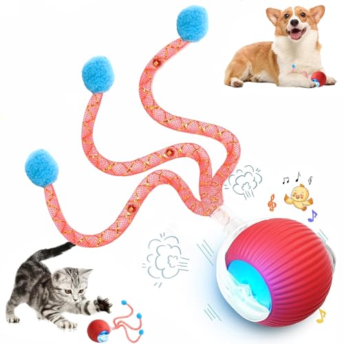 Speed 2.0 Tail Interactive Cat Toys for Indoor Cats, Chirping & Motion Activate Cat Toy, Smart Kitten Rolling Ball Moving Ball Toys, Rechargeable Dog Cat Bal l for Enrichment Exercise (New Red) - color: New Red