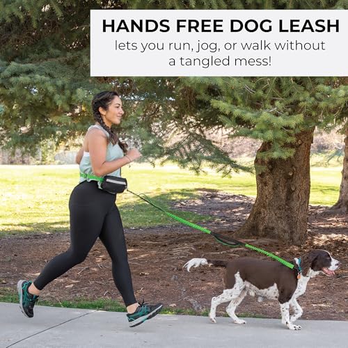 Squirrel Products Hands Free Dog Leash with Hip Belt/Crossbody Strap, Zipper Pouch, and Shock Absorbing Bungee for Walking or Jogging with pet (Green, Black) - color: Green and Black