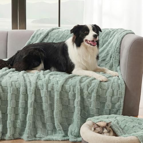 David's Home Large Dog Blankets Washable Pet Bed Cover, Soft Fluffy Fuzzy Cat Puppy Blanket with Premium 300GSM Fleece for Pet Kitten Doggy, Aqua Gray, 50x60IN - color: Aqua Gray, size: Throw