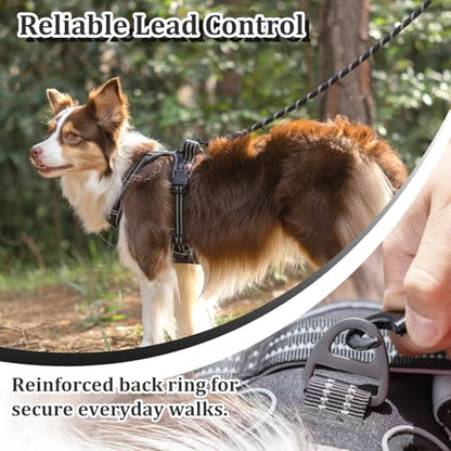 Vest Harness for Dogs - Reflective Adjustable Padding with Easy-On Design & Leash Attachment (S, Black) - color: Black, size: S