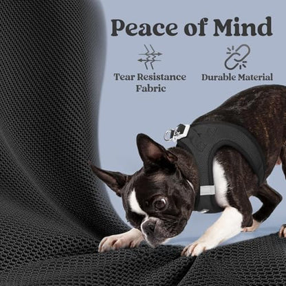 rabbitgoo Small Dog Harness, Step-in Soft Mesh Puppy Vest with Safety Buckle, Breathable Reflective Pet Harness for Extra Small Dogs, Black XXXS - color: Black, size: Xxxs(chest:10.8"-11.8")