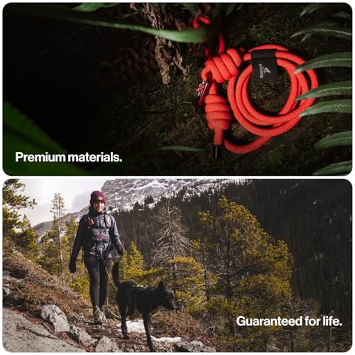 Säker Trust™ Rope Dog Leash – 61” Climbing Rope Lead with 7075 Aluminum Carabiner, Waterproof & Reflective Training Gear for Dogs, Built for Trail Running, Hiking, Everyday Use – Black - color: Black