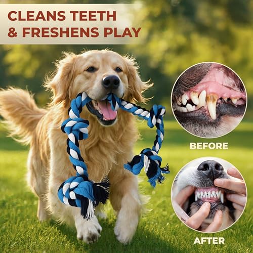 Pup Quartet Dog Rope Toy for Aggressive Chewers – 36-Inch Tug of War Dog Toy – 5-Knot Heavy Duty Rope Toys for Dogs – Virtually Indestructible Chew Toys for Medium & Large Dogs