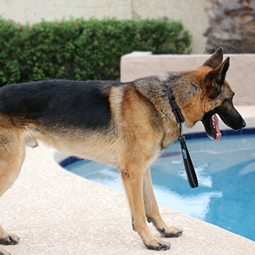 Max and Neo Short Traffic Leash 10" - We Donate One for One a Dog Rescue for Every Leash Sold (Purple) - color: PURPLE