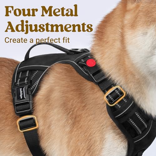 rabbitgoo Dog Harness Small Sized Dog, No Pull Pet Harness with Soft Padded Handle, Adjustable Reflective Vest with 3 Buckles, Easy Walking Harness with 2 Leash Clips, Black, S - color: Black, size: Small