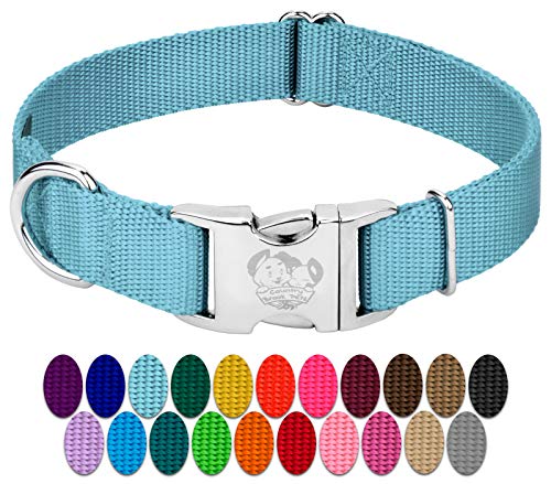 Country Brook Petz - Premium Nylon Dog Collar with Metal Buckle for Small Medium Large Breeds - 10+ Cool Colors (Small, 3/4 Inch, Ocean Blue) - color: Ocean Blue, size: Small (Pack of 1)