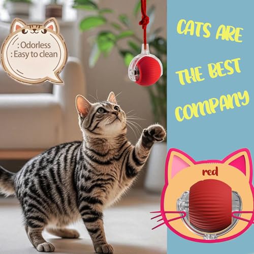 KumCinn Interactive Dog Ball for Small Medium Dogs, Automatic Self Moving Cat Toys Ball for Indoor Cats, 360° Rolling Electric Pet Ball, Fast Smart Motion Activated Toy (Red) - color: Red