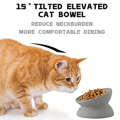 Ceramic Raised Cat Bowl, Cat Food Bowls Elevated Tilted, Ceramic Pet Bowl Whisker Friendly, Anti Vomit & Reduce Neck Burden for Food and Water (Gray) - color: Gray