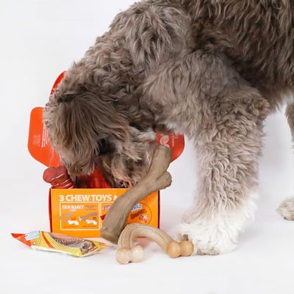 Nylabone Dog Gift Box, Includes 3 Strong Chew Toys and 1 Natural Treat, Gifts for Dogs, Large - Up to 50 lbs, 4 Pack - size: Large (4 Count)