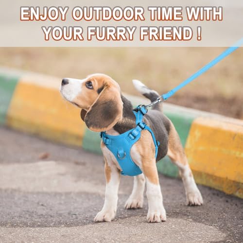 BARKBAY Dog Harness, Reflective Adjustable Puppy No Pull Harness, Breathable Soft, Blue, XXS - color: Blue, size: XX-Small