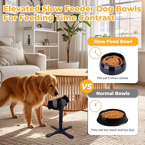 Elevated Slow Feeder Dog Bowl Adjustable Stand,Tilted ABS Base,Fits 5.5-9.5" Bowls, Anti-Spill & Non-Slip, Heavy Duty for Med/Large Dogs(with Round Bowls) - size: C -Slow Feeder Dog Bowls